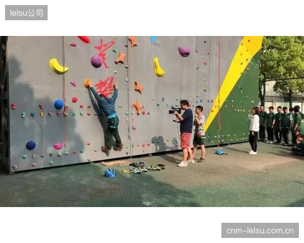速攀制动器散热问题频发，是否暴露了国内攀岩馆在设计阶段普遍缺乏设备与建筑协同的底层缺陷？